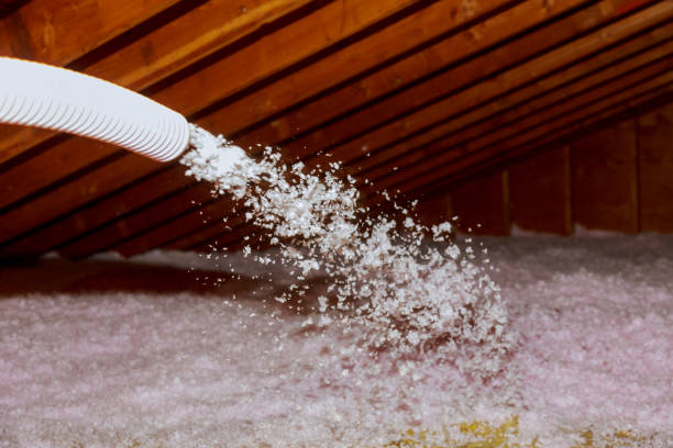 Best Insulation Maintenance and Repair in Questa, NM