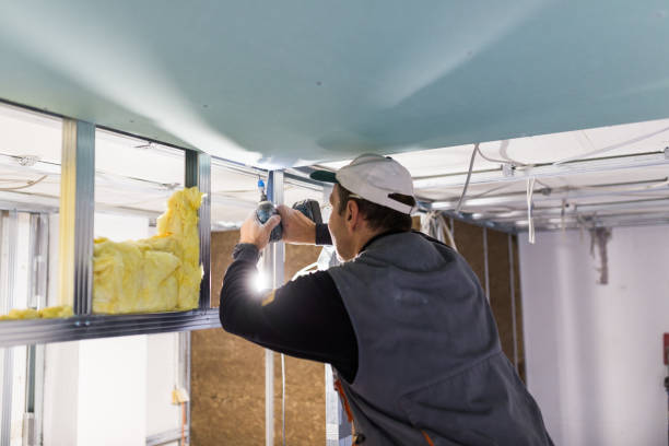 Best Residential Insulation in Questa, NM
