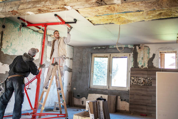 Best Insulation Installation Services in Questa, NM